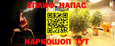гидра Ярцево