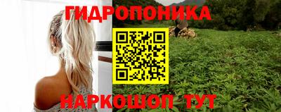 гидра Ярцево